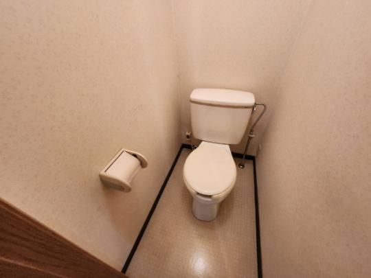 �y���̑��z�@�g�C��