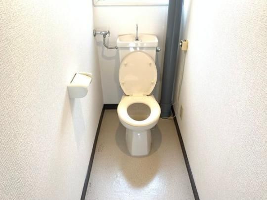 �y���̑��z�@�g�C��