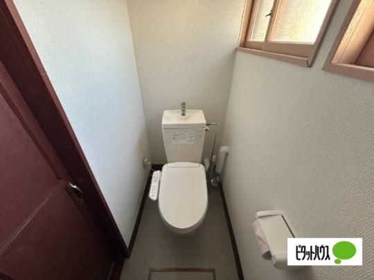 �y���̑��z�@�g�C��