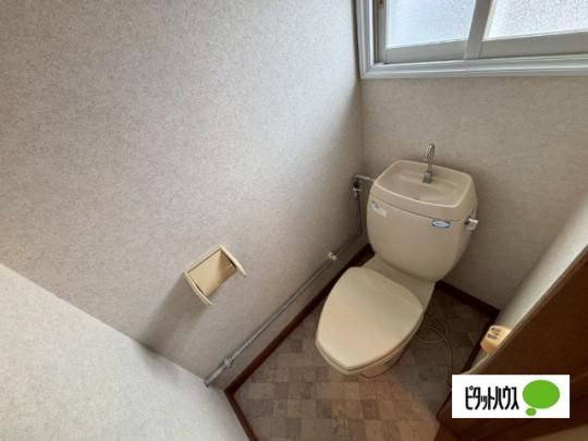 �y���̑��z�@�g�C��