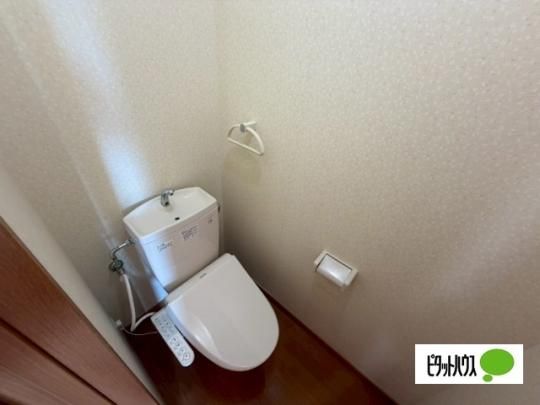 �y���̑��z�@�g�C��