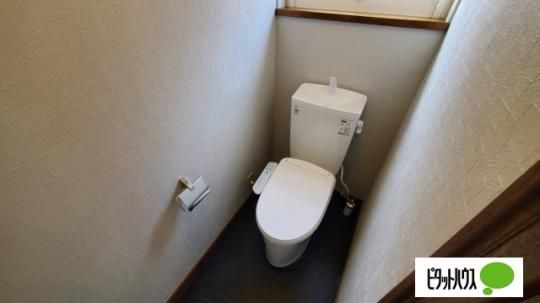 �y���̑��z�@�g�C��