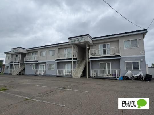 �O���[�����[�t311
