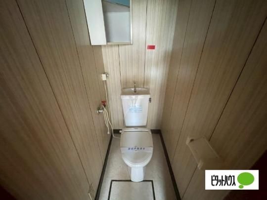 �y���̑��z�@�g�C��