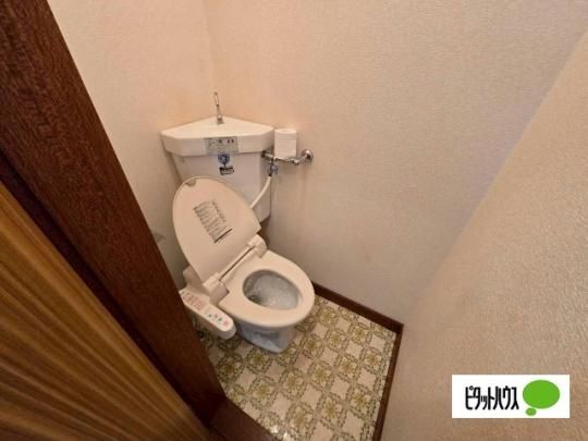 �y���̑��z�@�g�C��