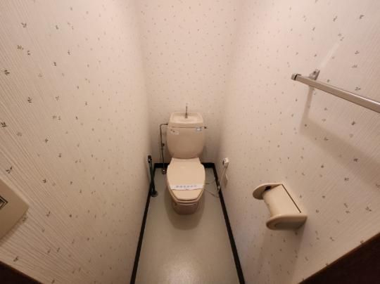 �y���̑��z�@�g�C��