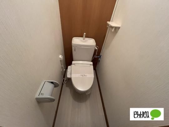 �y���̑��z�@�g�C��