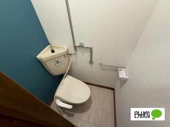 �y���̑��z�@�g�C��