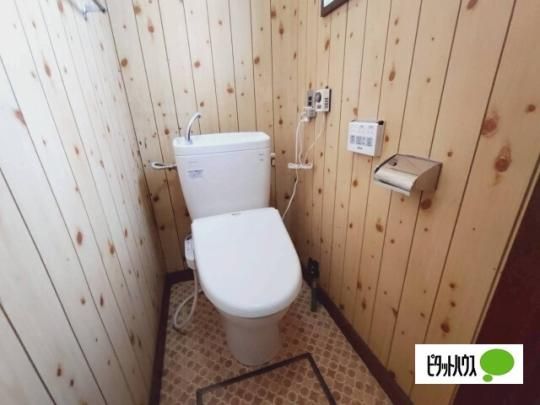 �y���̑��z�@�g�C��