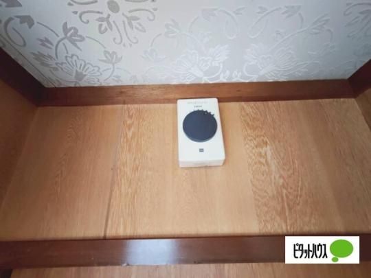 �y���̑��z�@�Z�L�����e�B