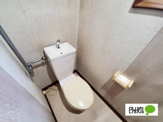 �y���̑��z�@�g�C��