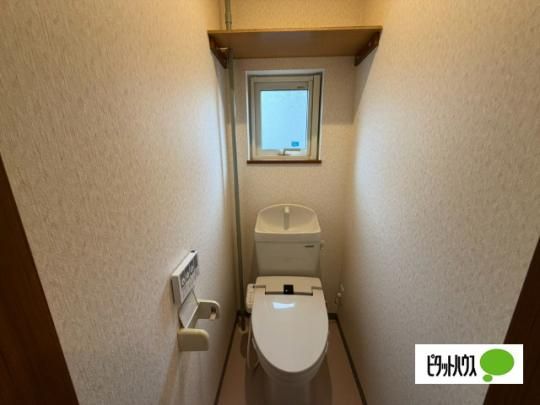 �y���̑��z�@�g�C��