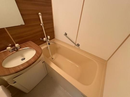 �y���̑��z�@�o�X�^�V�����[