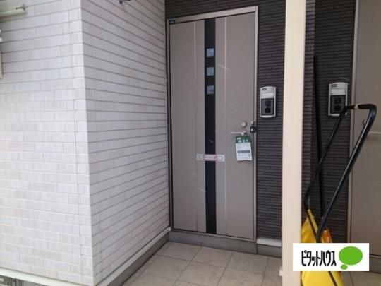 �y�����O�ρz�@�G���g�����X
