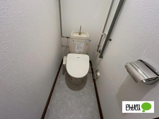 �y���̑��z�@�g�C��