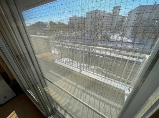 �y���̑��z�@�o���R�j�[