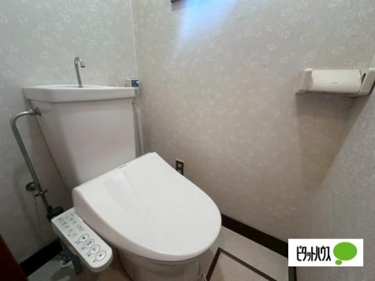 �y���̑��z�@�g�C��