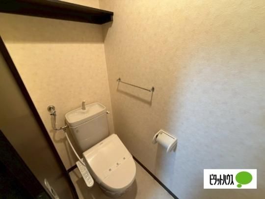 �y���̑��z�@�g�C��