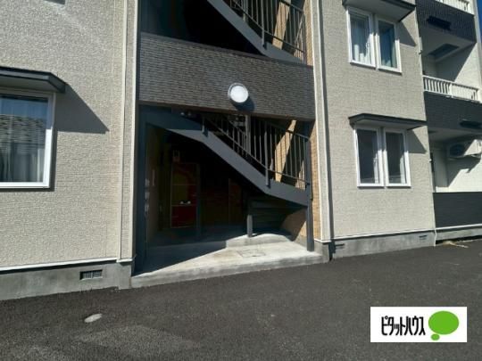 �y�����O�ρz�@�G���g�����X