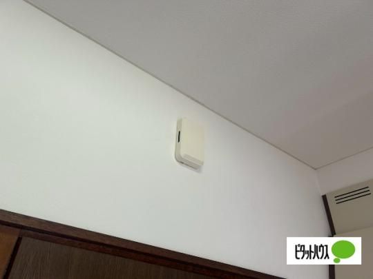�y���̑��z�@�Z�L�����e�B