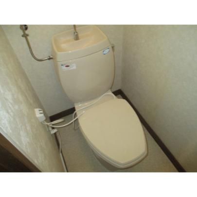 �y���̑��z�@�g�C��