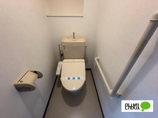 �y���̑��z�@�g�C��