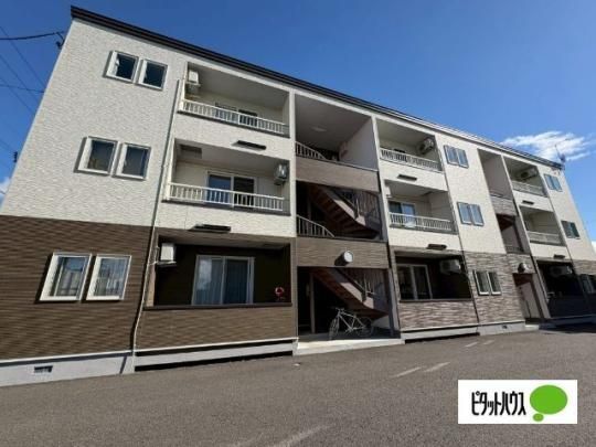 SOLE�i�]�[���j