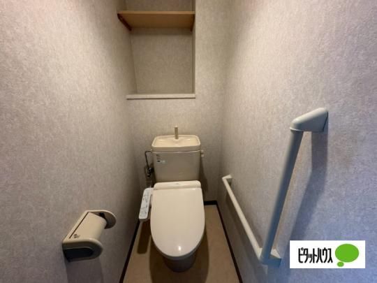 �y���̑��z�@�g�C��