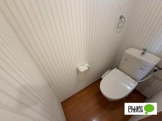 �y���̑��z�@�g�C��