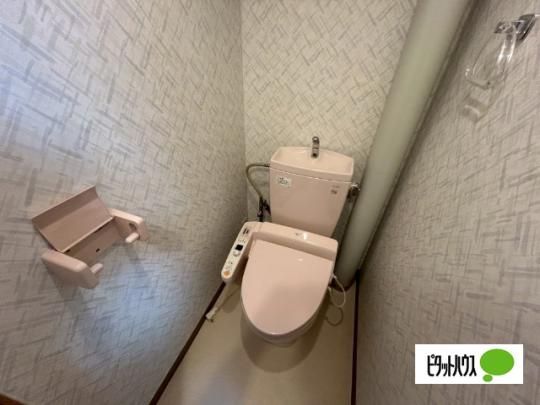 �y���̑��z�@�g�C��