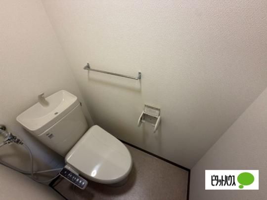 �y���̑��z�@�g�C��