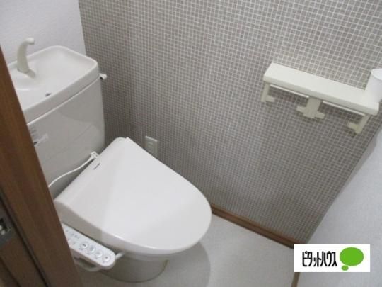 �y���̑��z�@�g�C��