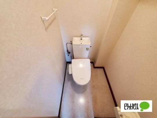 �y���̑��z�@�g�C��
