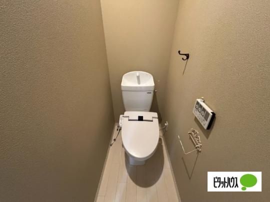 �y���̑��z�@�g�C��