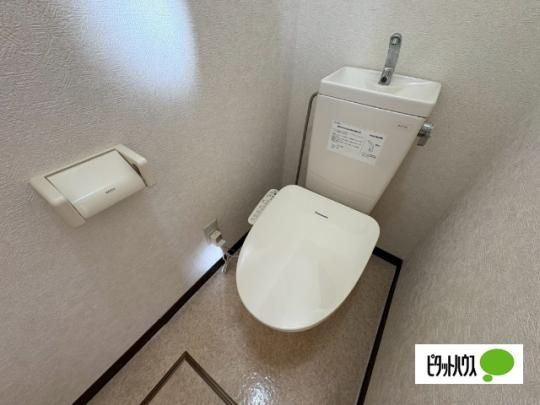�y���̑��z�@�g�C��