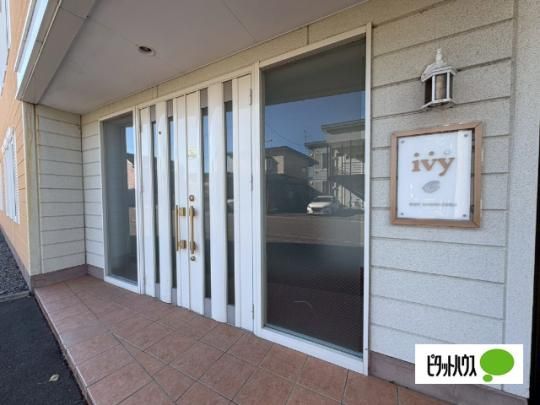 �y�����O�ρz�@�G���g�����X