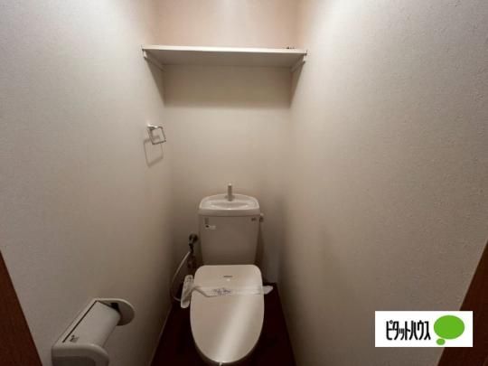 �y���̑��z�@�g�C��