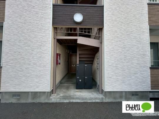 �y�����O�ρz�@�G���g�����X
