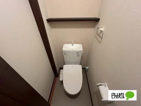 �y���̑��z�@�g�C��