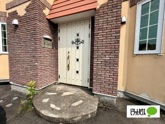 �y�����O�ρz�@�G���g�����X