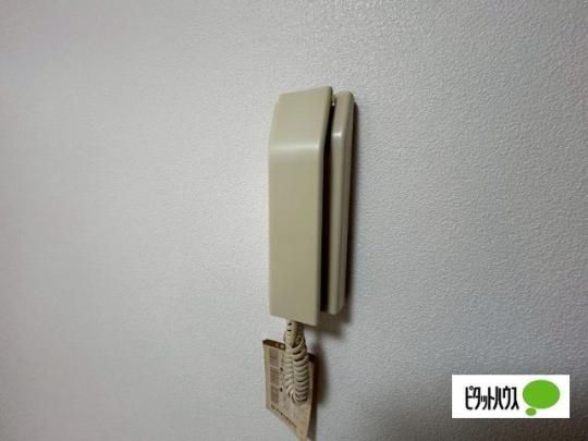 �y���̑��z�@�Z�L�����e�B