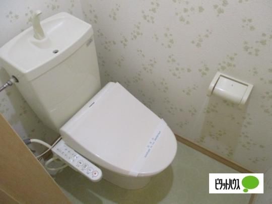 �y���̑��z�@�g�C��