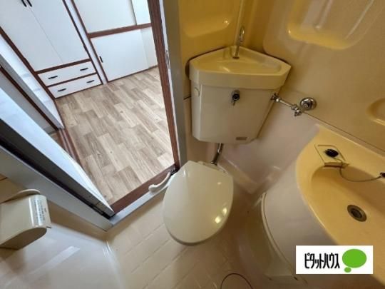 �y���̑��z�@�g�C��