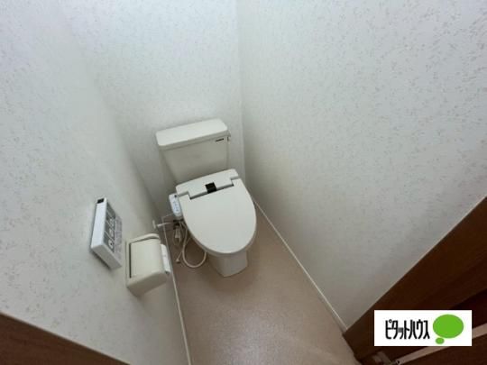 �y���̑��z�@�g�C��