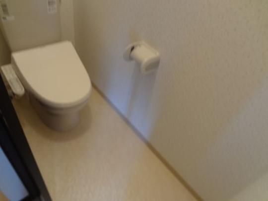 �y���̑��z�@�g�C��
