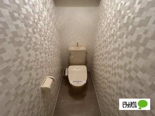 �y���̑��z�@�g�C��