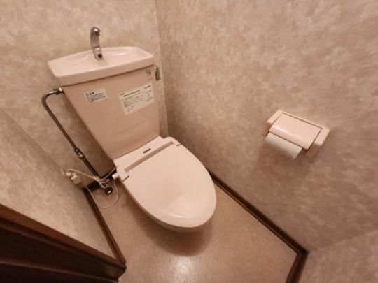 �y���̑��z�@�g�C��
