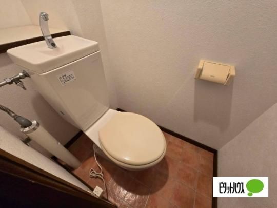 �y���̑��z�@�g�C��