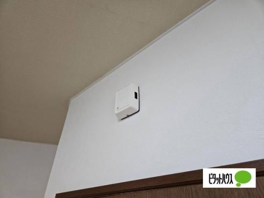 �y���̑��z�@�Z�L�����e�B