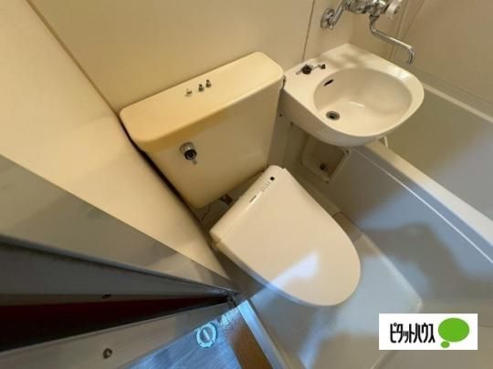 �y���̑��z�@�g�C��